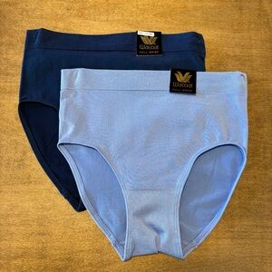 (2 Pairs) Wacoal B-Smooth Seamless Full Coverage Brief Panty 838175 Blues